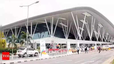 Bengaluru airport tops bird-hit incidents in southern India; 343 cases in 5.5 years; Delhi leads with 695