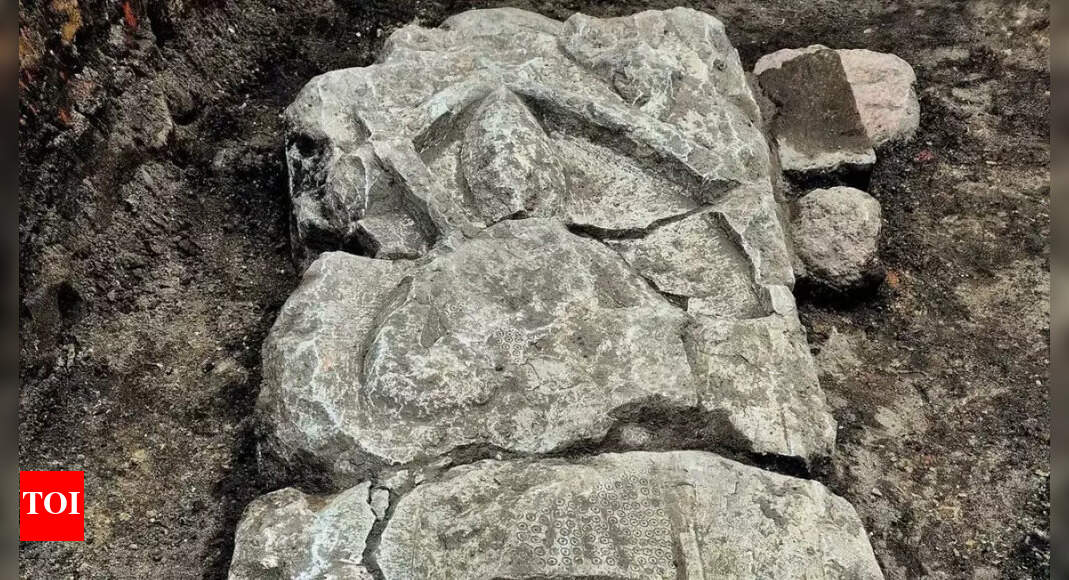 Medieval Knight Discovery Archaeologists find a sweet surprise below