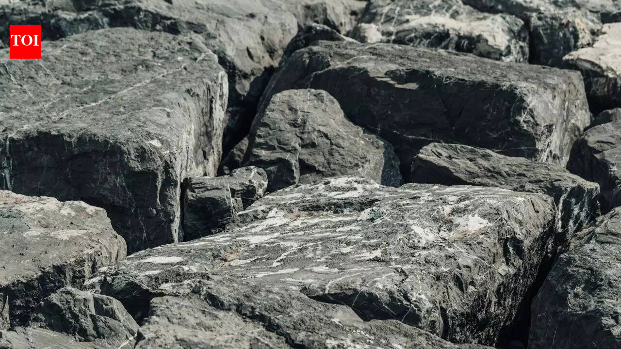 The 3 Main Types of Rocks That Shape Our World