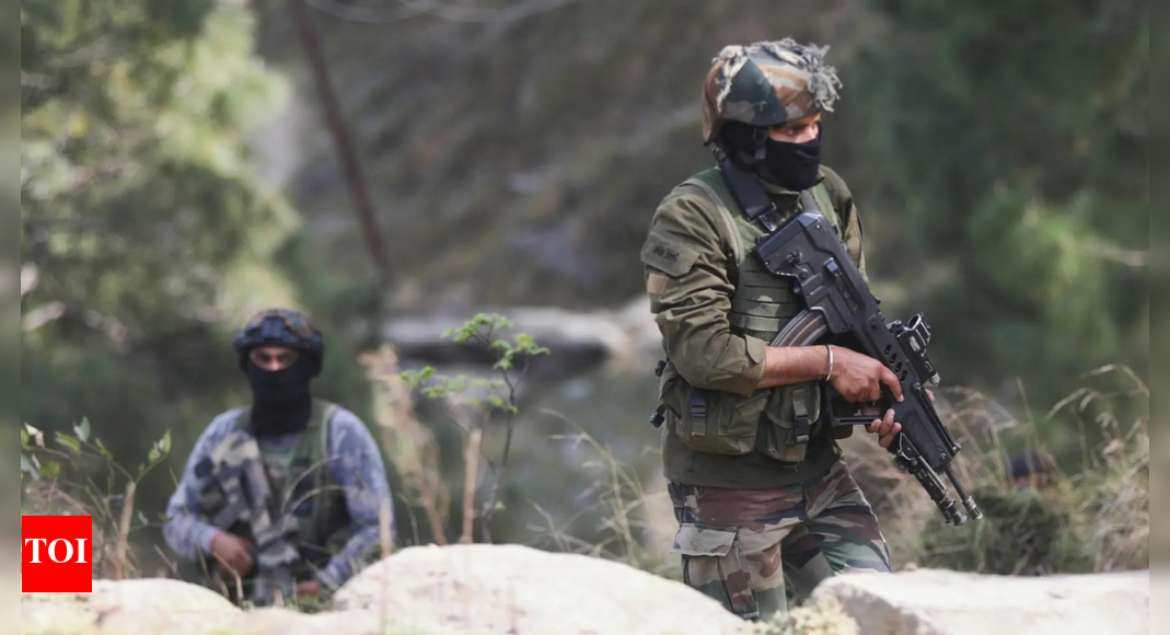 J&K encounter: Forces notice individuals trying to infiltrate; 2 fall down after being hit