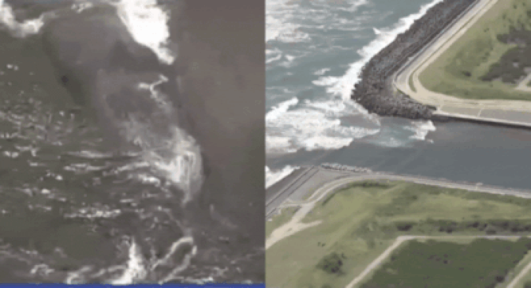 Ports damaged, whales washed ashore: Tsunami hits Russian and Japanese coast after 8.8 earthquake - Watch
