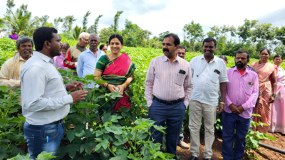 Tribal farmers embrace climate-smart agriculture and safe crop protection measures with ICAR–UAS Bangalore