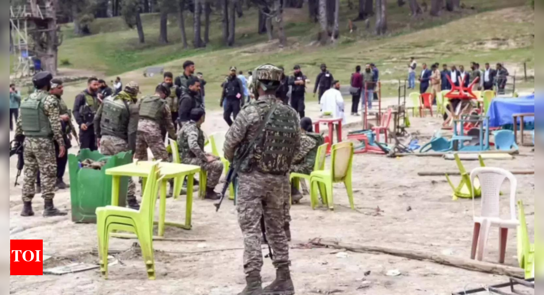 UNSC report: TRF published Pahalgam attack site photo, claimed responsibility twice