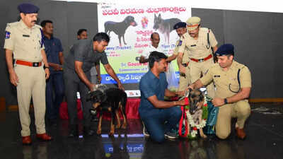  Danny and Tiger retire after loyal service; dog squad heroes helped crack major cases