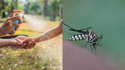 Prevention tips for dengue and chikungunya: How to protect yourself from mosquito-borne diseases