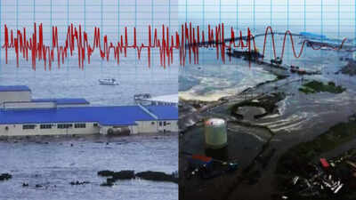  5 worst tsunamis of the 21st century every student should know about