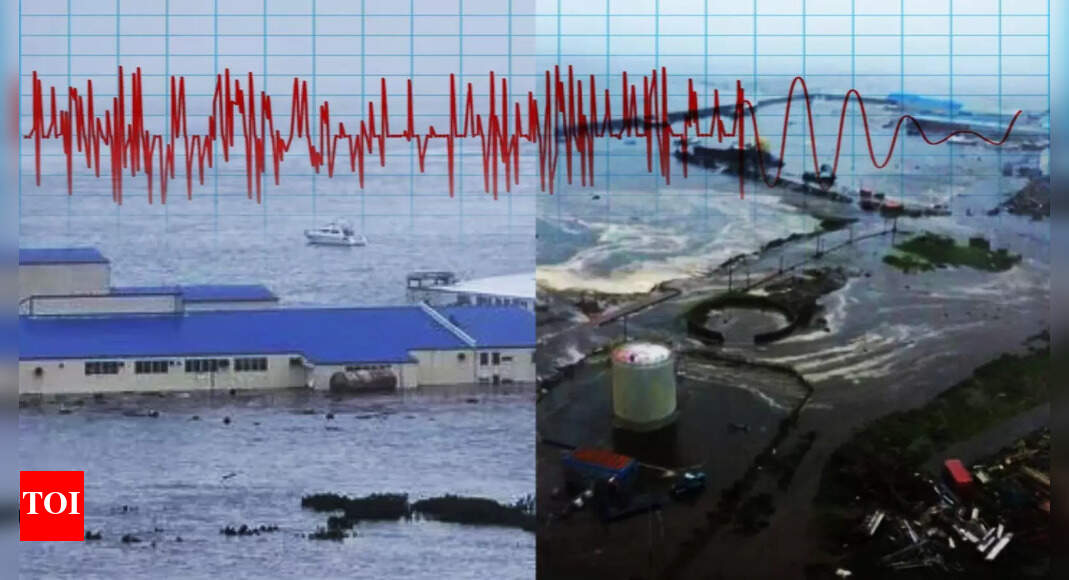 Tsunami hits California after Russia earthquake: 5 worst tsunamis of the 21st century every student should know about