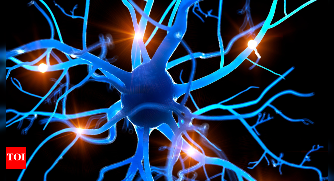 Morning rituals for the nervous system: 10 minutes can change your whole day – Times of India