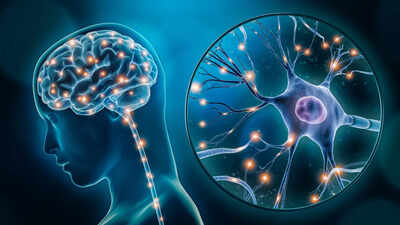 It’s true! Adults can grow new brain cells