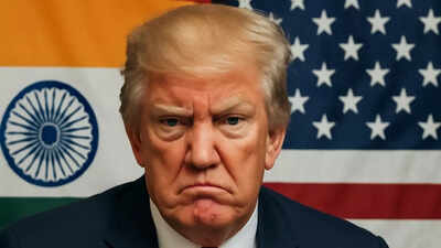 ‘Trump frustrated with India trade talks…’: US President feels 25% tariff will ‘remedy’ the situation, says adviser; additional penalty for Russia trade ‘shortly’