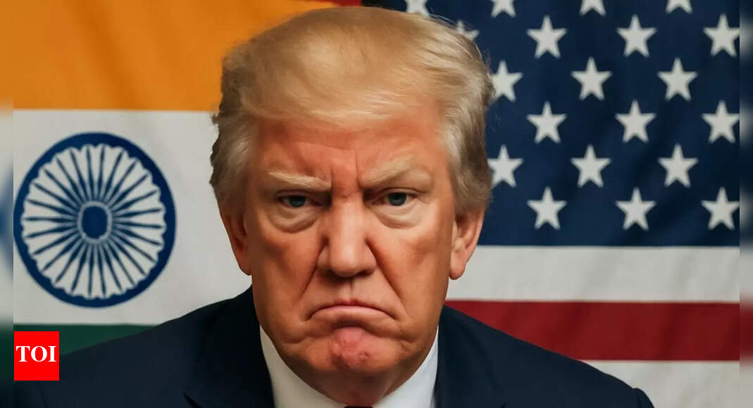 ‘Trump frustrated with India trade talks…’: US President feels 25% tariff will ‘remedy’ the situation, says adviser; additional penalty for Russia trade ‘shortly’ – Times of India