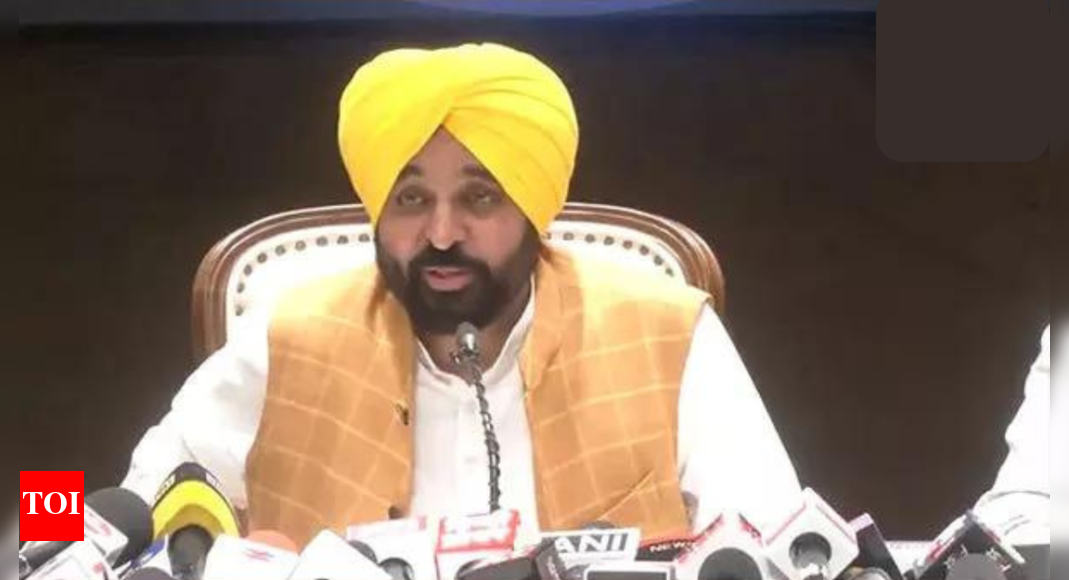 No more drugs, we want education: Bhagwant Mann to introduce new curriculum; tackling drug addiction in focus