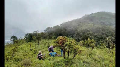 State changes tack, seeks revised proposal for Goa-Tamnar power line