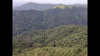 Activist flags rampant encroachment, seeks freeze on Karnataka’s forest plans