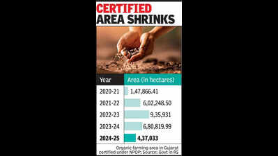 Gujarat’s certified organic farming area halves in 2 yrs