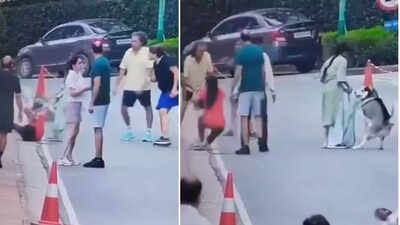 Gurgaon woman mauled by husky during morning walk; watch