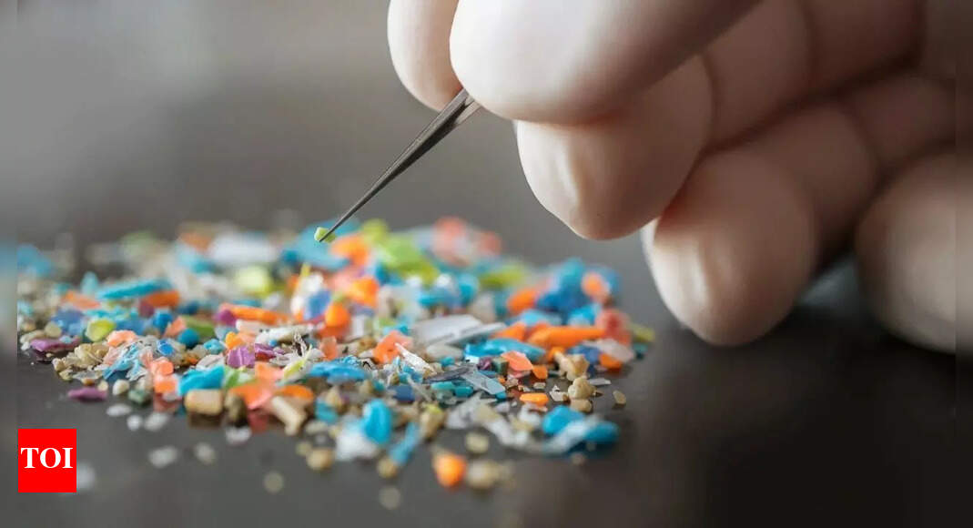Shocking Study Reveals Microplastics in Your Home and Car Are More Dangerous Than You Thought!