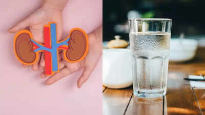 Kidney health: How much water do you need to drink daily for healthy kidneys?
