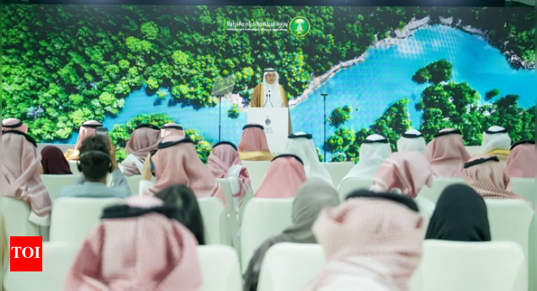 Saudi Arabia to build 1,000 rainwater harvesting dams with 4 million m³ annual capacity