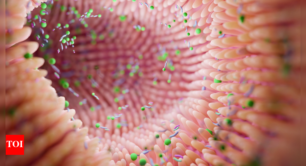 Leaky Gut: 5 early warning signs of leaky gut syndrome that one should not ignore | – Times of India