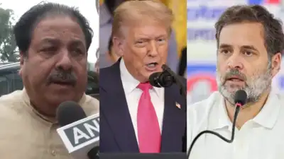 'Take Dead Economies Down Together, Don't Care: Trump Stuns With Fresh Tariff Salvo At India, Russia