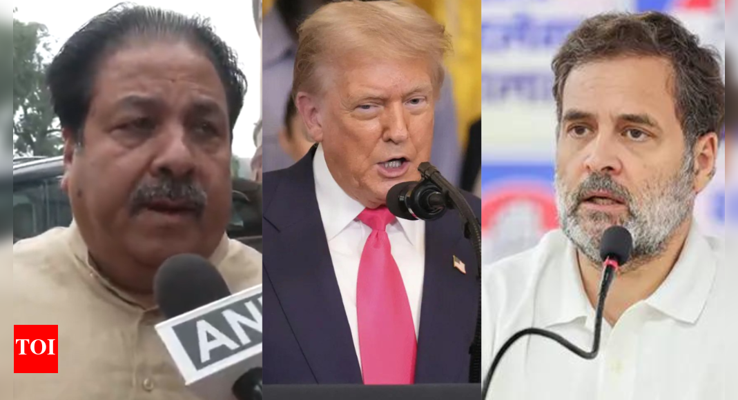 Congress vs Congress: Rahul Gandhi backs Donald Trump’s ‘dead economy’ remark; Rajeev Shukla pushes back saying 'US Prez is wrong'