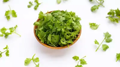 Coriander leaves: Powerful grass for inflammation, anxiety and blood sugar control
