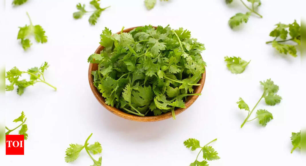 Coriander leaves: The powerful herb for inflammation, anxiety and blood sugar control | – Times of India