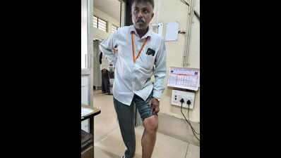 Bengaluru revenue officer attacked by house dog during tax survey