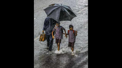 Telangana gets normal rain, but erratic showers spell concern