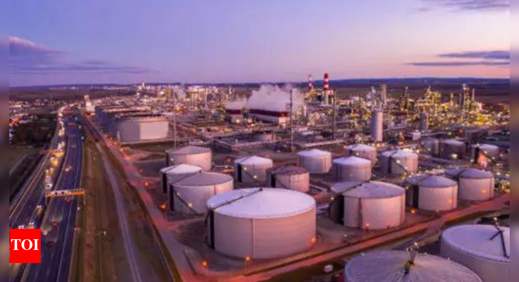 Government denies oil companies told to look outside Russia