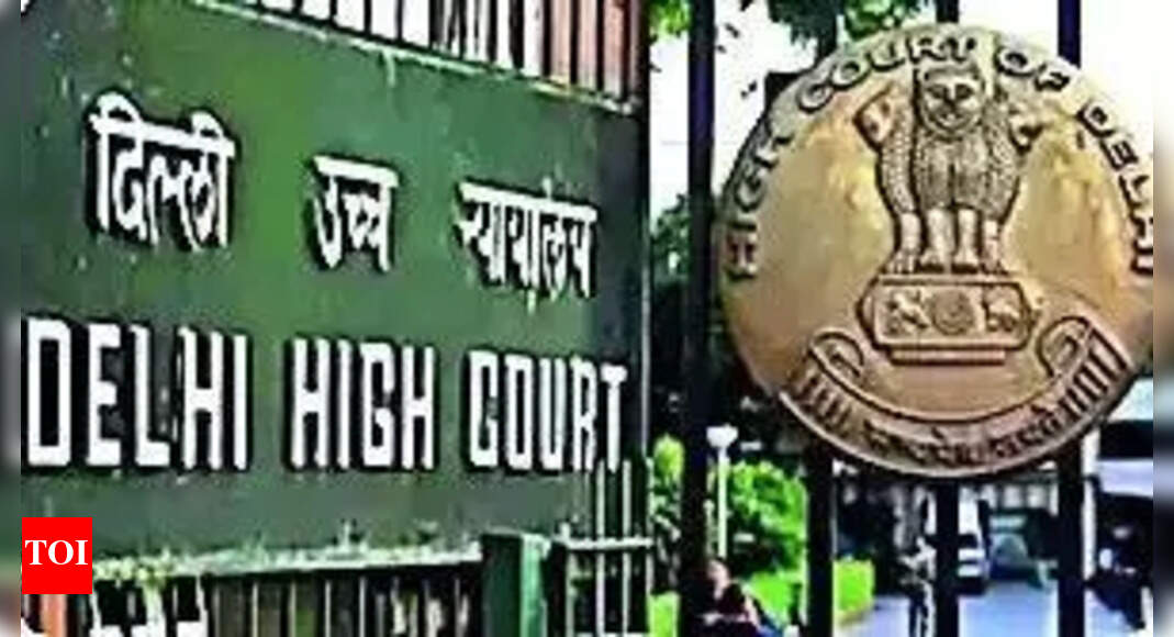 HC junks Turkiye aviation company's plea