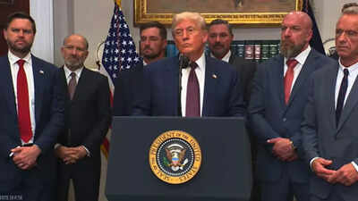 'Was fighting lunatics like you': Donald Trump fires back at reporter over tariff question - watch video