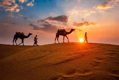 Kuwait’s land is dying: Why desertification is Kuwait’s next big environmental battle