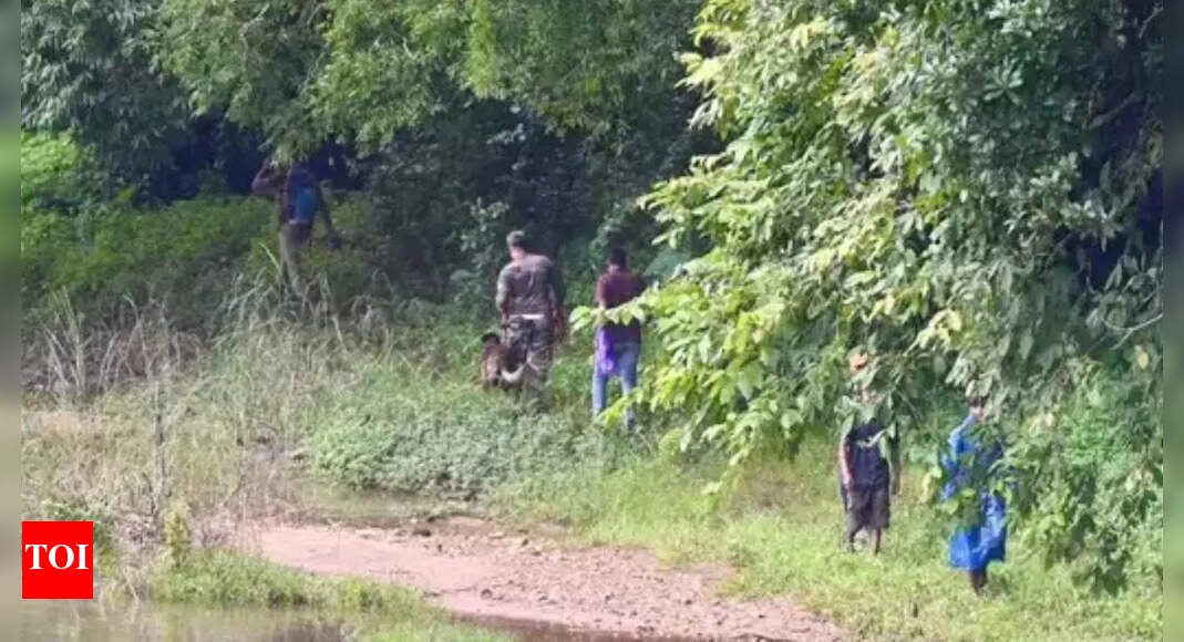 ‘Coerced to bury 100 bodies’: SIT finds 15 bones in Dharmasthala forest pit