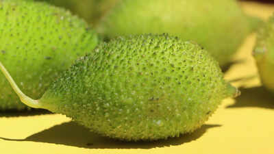 Why kantola is a must grow monsoon vegetable for blood sugar and immunity: Benefits and how to grow