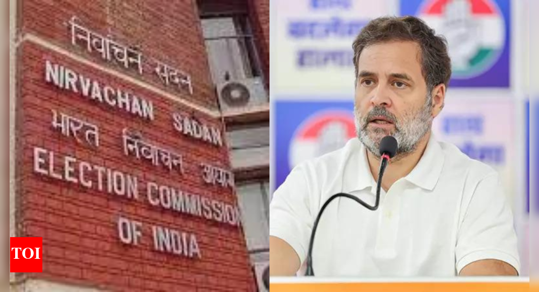 'Ignore such baseless allegations': EC rebuts Rahul's 'vote chori' attack