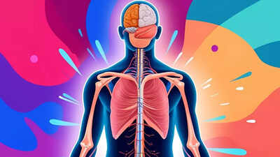 20 or 80, THIS organ of the body is (mostly) immune to ageing!