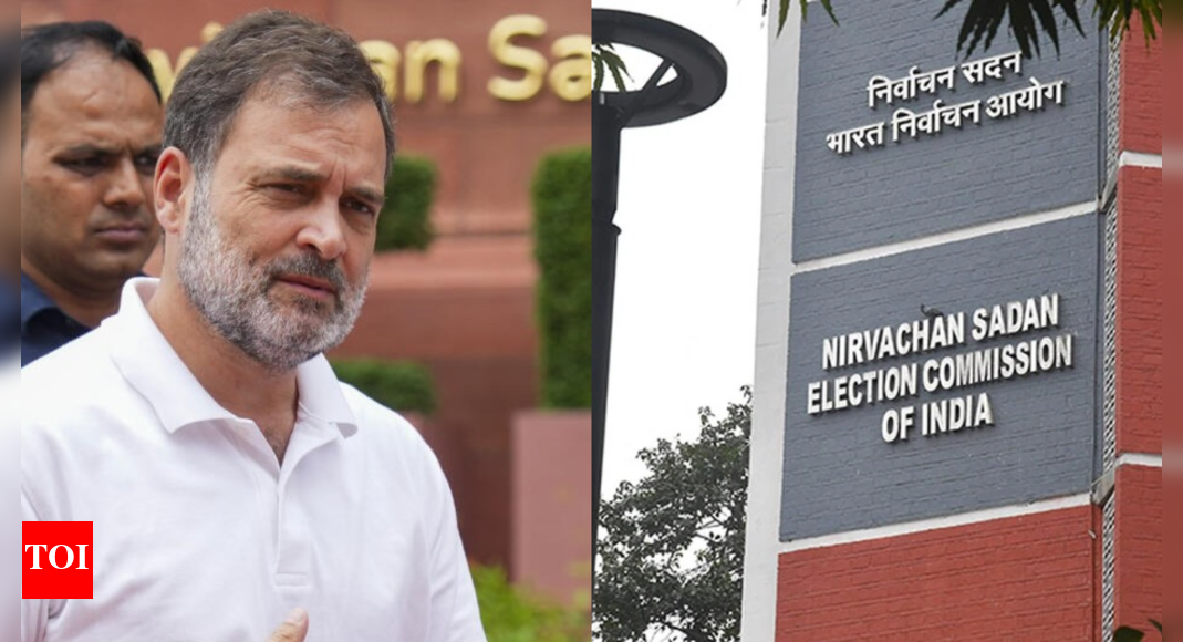 'No response, no letters': EC's 5-point attack on Rahul over 'vote theft' claim