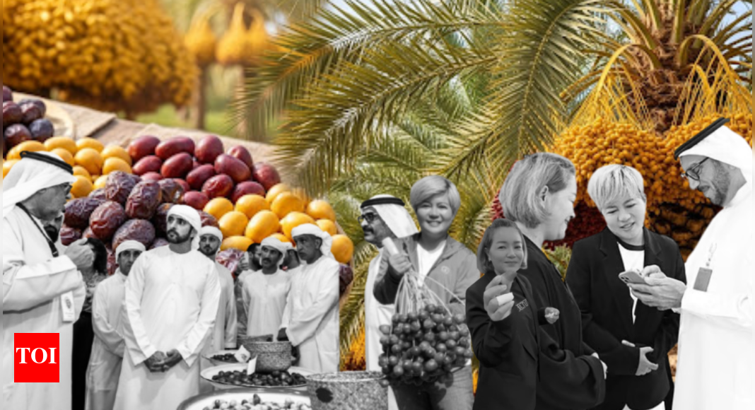 AED 8 million festival prizes, Golden Visas for date farmers: Why UAE cares so much about dates