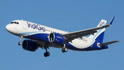 Man slaps 'nervous' passenger on Mumbai-Kolkata IndiGo flight; handed over to security on arrival