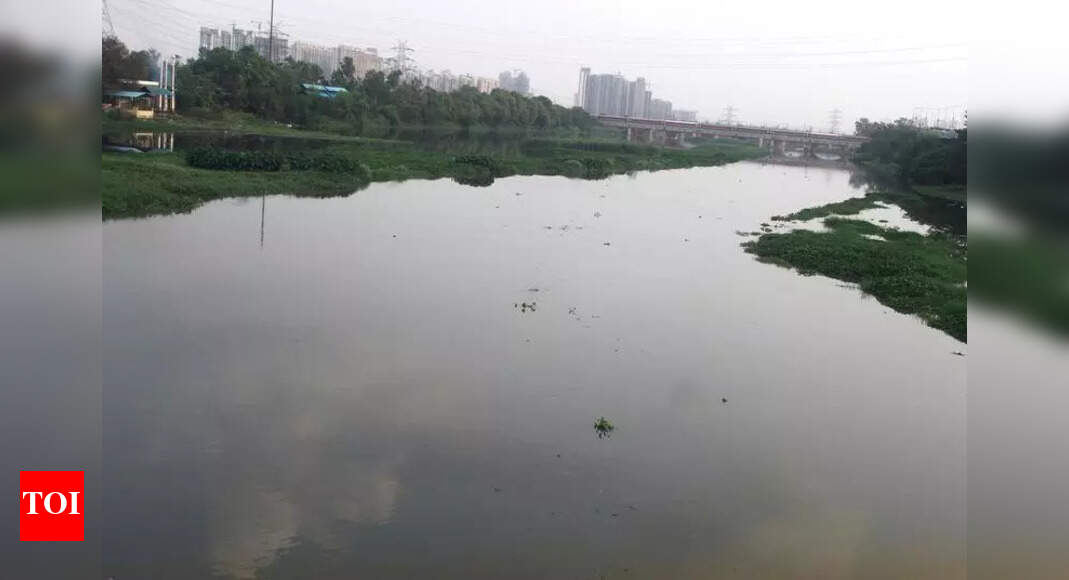 2 years on, only 25 of Hindon floodplain mapping done