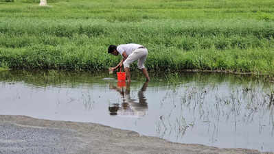 Sewage floods fields from overloaded Baga waste plant