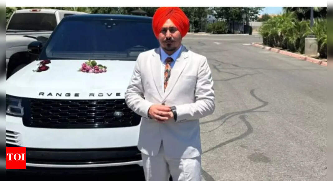 'Deport my husband, he's fake, marrying someone else in US': Indian woman Samanpreet Kaur's plea to ICE goes viral