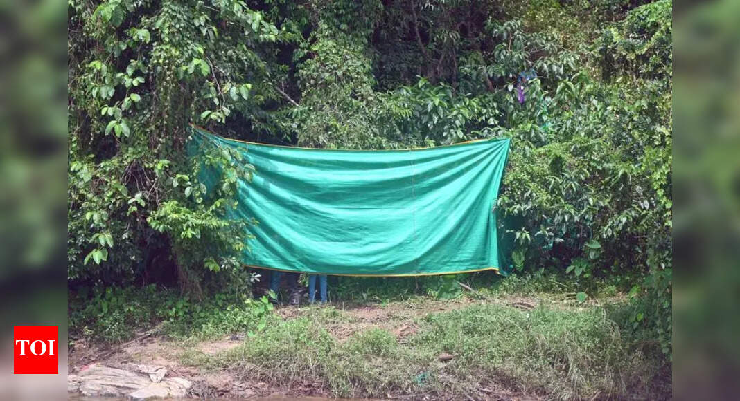 The Times of India - Entertainment - News Image