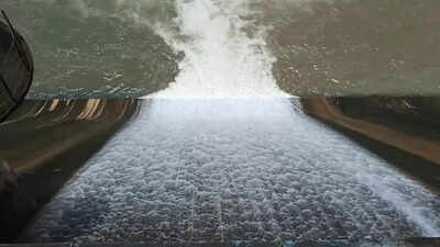 Baagina offered to Linganamakki dam