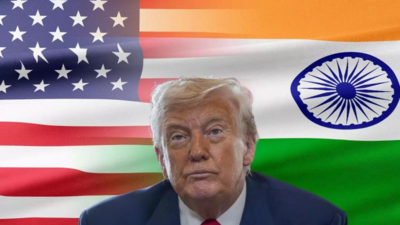 'Limited direct impact from US tariffs': Fitch revises India GDP forecast to 6.3% for FY26; infrastructure spending, local demand seen supporting key sectors