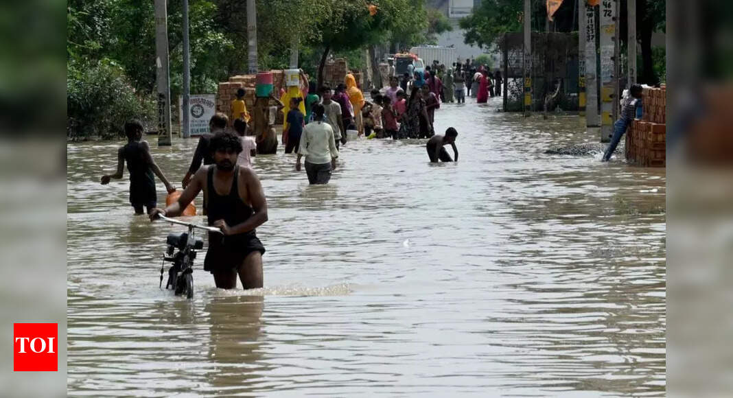 Delhi's flood crisis: Unplanned urbanisation, poor drainage, and climate change