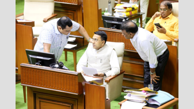 Eyeing tech to curb coastal soil erosion, says govt in assembly