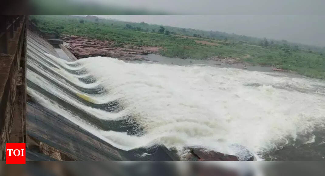 The Times of India - Other - News Image